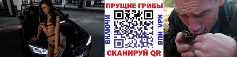 где продают наркотики  Севастополь  Галлюциногенные грибы Cubensis 